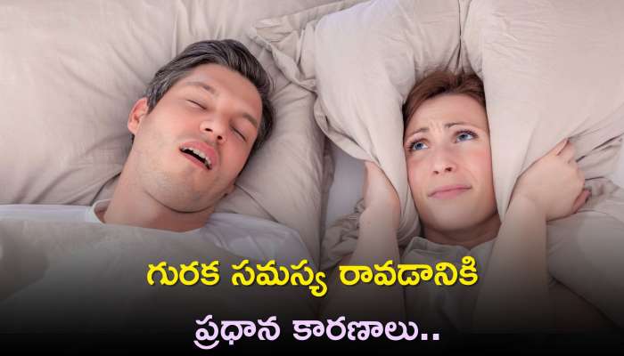 Snoring: గురక సమస్య రావడానికి ప్రధాన కారణాలు, వచ్చే ముందు మీ శరీరంలో జరిగే మార్పులు ఇవే..