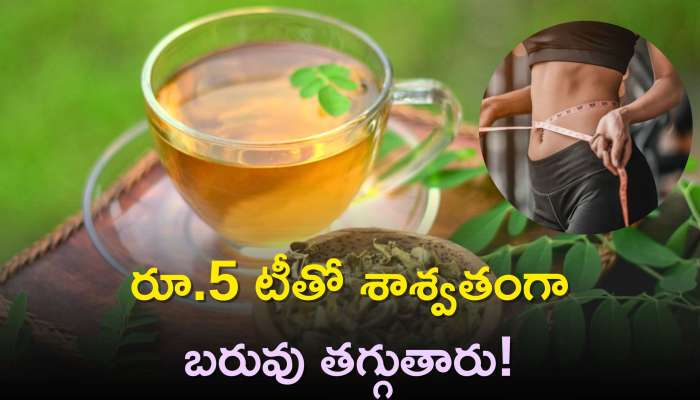 Moringa Tea Weight Loss: రూ.5 టీతో శాశ్వతంగా బరువు తగ్గుతారు, కొలెస్ట్రాల్‌కు కూడా చెక్‌! 