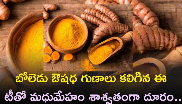 Turmeric Benefits: పసుపుతో ఈ దీర్ఘకాలిక వ్యాధులకు కూడా సులభంగా చెక్ పెట్టొచ్చు! మీరు కూడా తప్పక ట్రై చేయండి..	