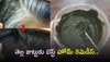 White Hair To Black: తెల్ల జుట్టుకు బెస్ట్ హోమ్ రెమెడీస్..ఇవి వారానికి ఒకసారి అప్లై చేస్తే చాలు శాశ్వతంగా నల్ల జుట్టు పొందుతారు!