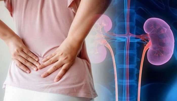 UTI Problem: యూరినరీ ట్రాక్ ఇన్‌ఫెక్షన్‌కు కారణాలేంటి, ఈ సమస్య నుంచి ఎలా ఉపశమనం పొందాలి