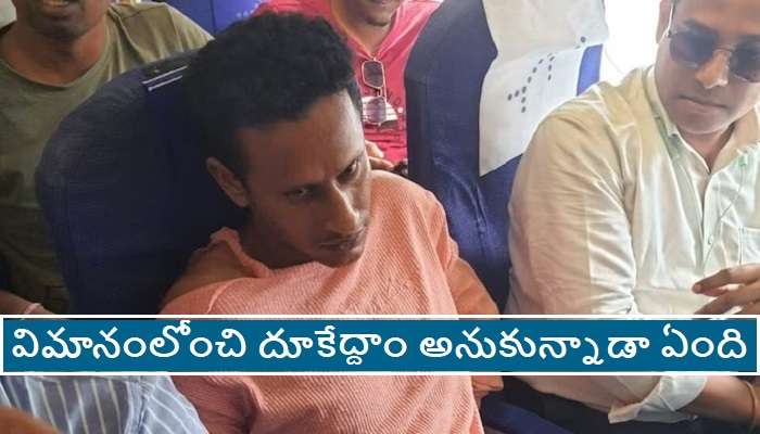 Flight Emergency Exit Door: విమానం గాల్లో ఉండగానే ఎమర్జెన్సీ ఎగ్జిట్ డోర్ తెరవబోయాడు