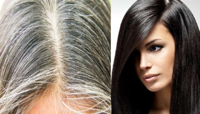 Hair Blackening Tips: రోజూ డైట్‌లో ఈ పదార్ధాలుంటే చాలు, రంగు వేయకుండా జుట్టు నల్లబడుతుంది