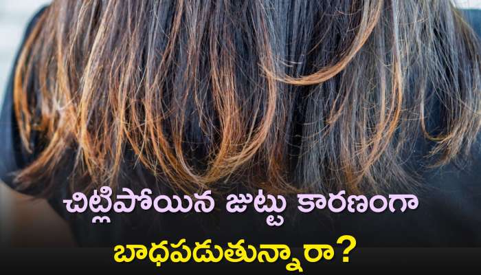 Split Ends Hair: చిట్లిపోయిన జుట్టు కారణంగా బాధపడుతున్నారా? రోజు ఇలా చేయండి..