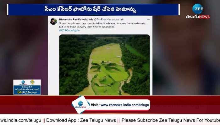 Cm Kcr Pic Viral: KCR-shaped paddy photo goes viral