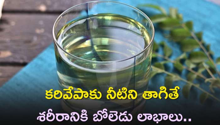 Curry Leaf Water Benefits: కరివేపాకు నీటిని తాగితే శరీరానికి బోలెడు లాభాలు..ఒత్తిడిని కూడా తగ్గిస్తుంది!