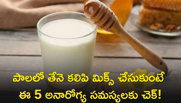  Honey Milk Benefits: పాలలో తేనె మిక్స్‌ చేసుకుని తాగితే ఈ 5 అనారోగ్య సమస్యలకు చెక్‌!