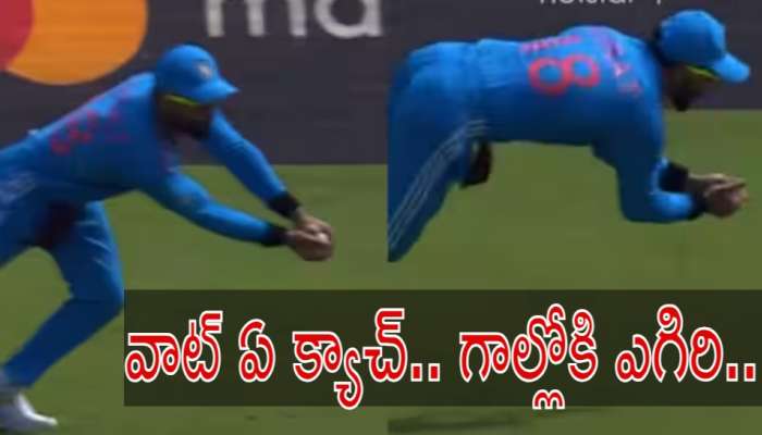 Virat Kohli Stunning Catch: గాల్లోకి డైవ్ చేస్తూ స్టన్నింగ్ క్యాచ్ అందుకున్న విరాట్ కోహ్లీ.. వీడియో చూశారా..!