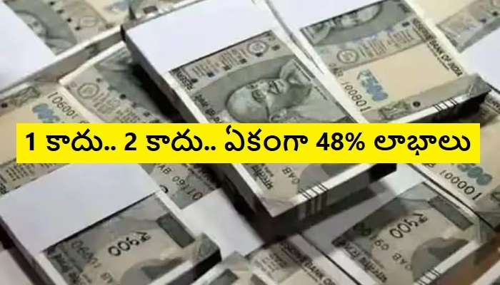 5 Stocks For 48% High Returns: ఏడాదిలోనే మీ పెట్టుబడికి 48% వరకు లాభాలు ఇచ్చే స్టాక్స్ 