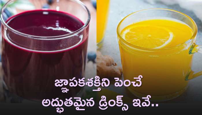 Memory Booster Drink: జ్ఞాపకశక్తిని పెంచే అద్భుతమైన డ్రింక్స్‌ ఇవే..రోజు ఇలా తాగండి..