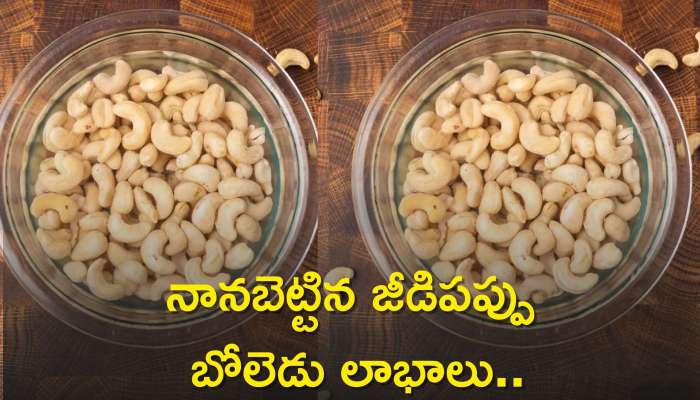 Soaked Cashew Benefits: నానబెట్టిన జీడిపప్పు బోలెడు లాభాలు..ఇలా ప్రతి రోజు తినండి చాలు!