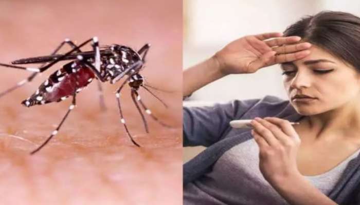 Dengue Fever: డెంగ్యూ ఫీవర్‌తో బాధపడుతున్నారా..? ఈ ఫుడ్‌ తింటే స్పీడ్‌గా రికవరీ అవ్చొచ్చు..!