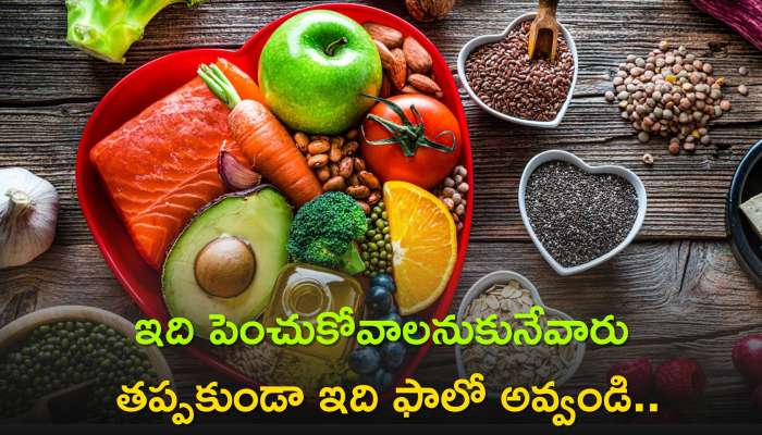 Dash Diet: DASH డైట్‌తో బోలెడు లాభాలు, ఇది పెంచుకోవాలనుకునేవారు తప్పకుండా ఇది ఫాలో అవ్వండి..