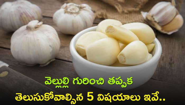 Raw Garlic Benefits: వెల్లుల్లి గురించి తప్పక తెలుసుకోవాల్సిన 5 విషయాలు ఇవే..
