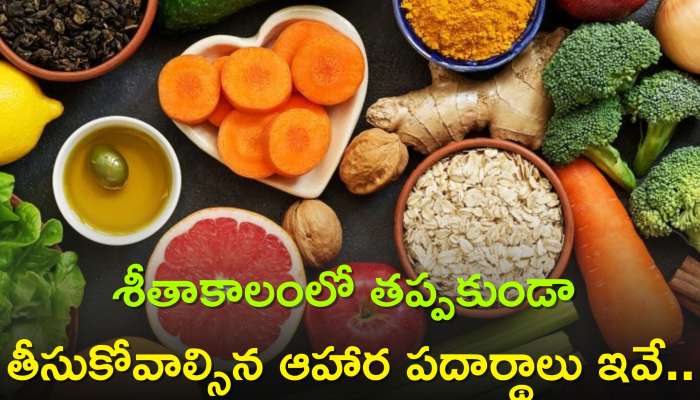 Healthy Diet In Winter: శీతాకాలంలో తప్పకుండా తీసుకోవాల్సిన ఆహార పదార్థాలు ఇవే..వీటితో ఇన్ఫెక్షన్ల సైతం దూరం..