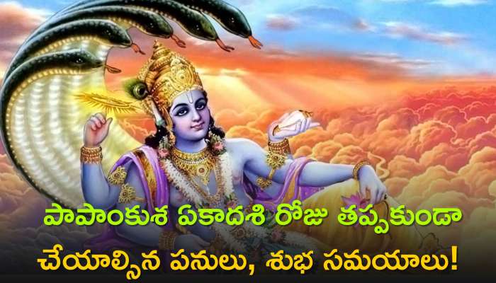 Papankusha Ekadashi 2023: పాపాంకుశ ఏకాదశి రోజు తప్పకుండా చేయాల్సిన పనులు, శుభ సమయాలు, పూజా పద్ధతులు..