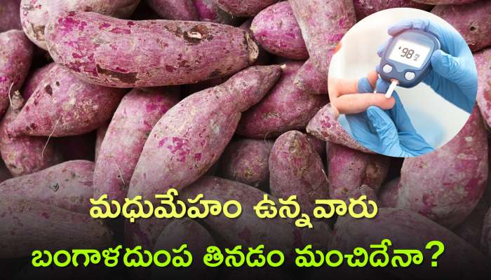  Sweet Potatoes For Diabetics: మధుమేహం ఉన్నవారు బంగాళదుంప తినడం మంచిదేనా? తింటే ఏం జరుగుతుందంటే..