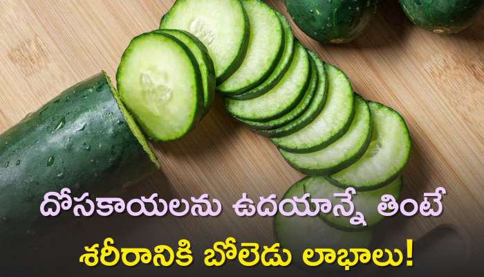 Cucumber Benefits: శీతాకాలంలో దోసకాయలను ఉదయాన్నే తింటే శరీరానికి బోలెడు లాభాలు!