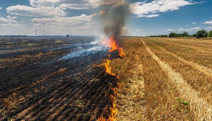 Delhi Pollution: ఢిల్లీ కాలుష్యంపై సుప్రీంకోర్టు ఆందోళన, తక్షణం నిలిపివేయాలంటూ ఆగ్రహం