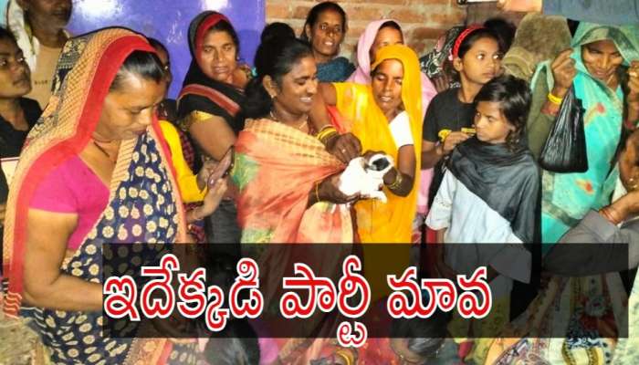 Viral News: 9 పిల్లలకు జన్మనిచ్చిన పెంపుడు కుక్క.. ఊరంతా పార్టీ ఇచ్చిన మహిళ