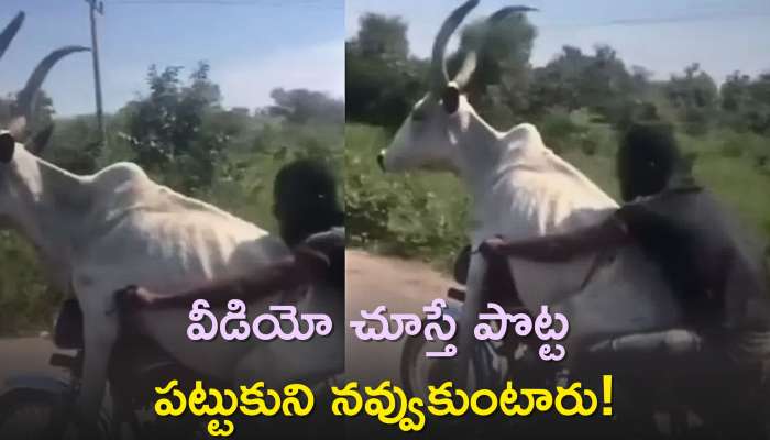 Funny videos funny cheap videos telugu