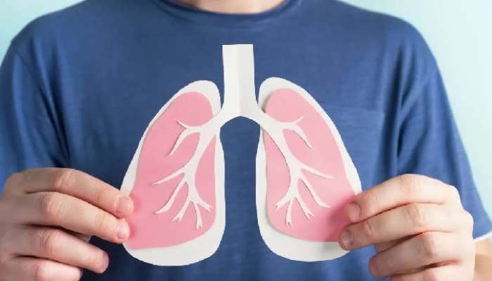 Lungs Health: ఈ చిట్కాలు పాటిస్తే ఊపిరితిత్తులు ఎప్పటికీ ఆరోగ్యంగానే ఉంటాయి