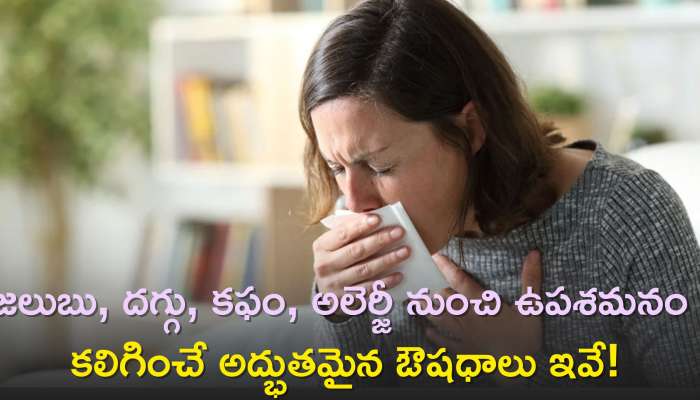 Winter Illnesses 2023: జలుబు, దగ్గు, కఫం, అలెర్జీ నుంచి ఉపశమనం కలిగించే అద్భుతమైన ఔషధాలు ఇవే!