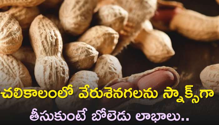 Peanuts Benefits: చలికాలంలో వేరుశెనగలను స్నాక్స్‌గా తీసుకుంటే బోలెడు లాభాలు..