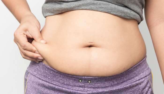 Belly Fat: పొట్ట చుట్టూ బెల్లీ ఫ్యాట్ సమస్యగా ఉందా, ఈ  చిట్కాలు ట్రై చేయండి