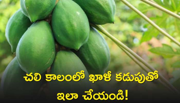 Raw Papaya Benefits: బరువు తగ్గాలనుకుంటున్నారా? చలి కాలంలో ఖాళీ కడుపుతో ఇలా చేయండి!