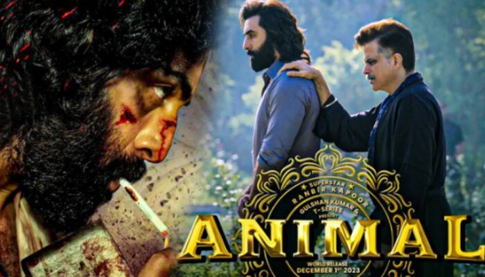 Animal Movie: బాక్సాఫీస్ వద్ద &#039;యానిమల్&#039; ఊచకోత.. ఫస్ట్ డే కలెక్షన్స్ ఎంతంటే?