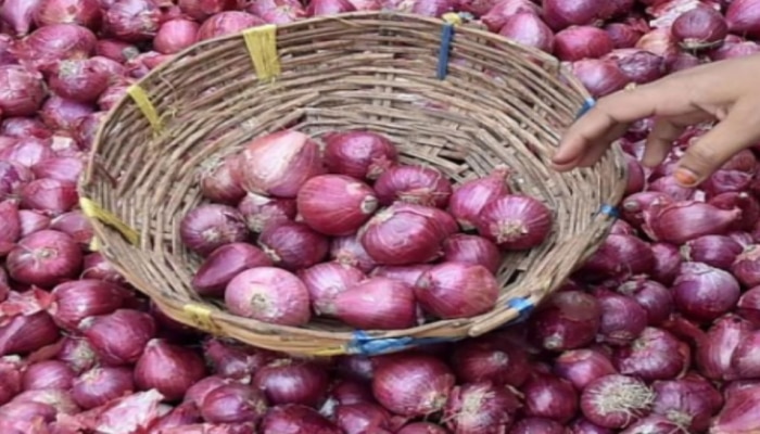 Onion Exports ban: ఉల్లి ఎగుమతులపై కేంద్రం నిషేధం.. కారణం ఇదే!