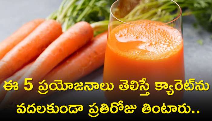 Carrots Benefits: ఈ 5 ప్రయోజనాలు తెలిస్తే క్యారెట్‌ను వదలకుండా ప్రతిరోజు తింటారు..