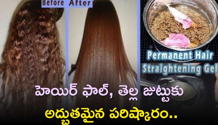 Relief Hair Fall: హెయిర్‌ ఫాల్‌, తెల్ల జుట్టుకు అద్భుతమైన పరిష్కారం..