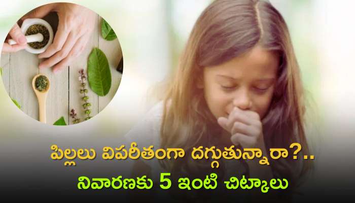 Kids Cough Home Remedy: పిల్లలు విపరీతంగా దగ్గుతున్నారా?.. నివారణకు 5 ఇంటి చిట్కాలు 