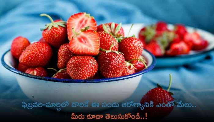 Strawberries: ఫిబ్రవరి-మార్చిలో దొరికే ఈ పండు  ఆరోగ్యానికి ఎంతో మేలు.. మీరు కూడా తెలుసుకోండి..!
