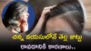 White Hair: చిన్న వయసులోనే తెల్ల జుట్టు రావడానికి కారణాలు.. మానుకోవాల్సిన అలవాట్లు..