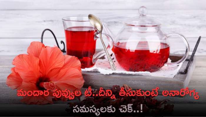 Hibiscus Tea Benefits: మందార పువ్వుల టీ .. దీన్ని తీసుకుంటే అనారోగ్య సమస్యలకు చెక్‌..!
