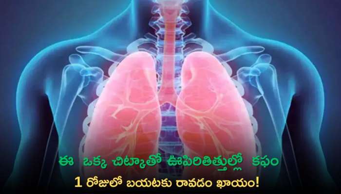 Get Rid Of Kapham In Winter: ఈ  ఒక్క చిట్కాతో ఊపిరితిత్తుల్లో  క‌ఫం 1 రోజులో బయటకు రావడం ఖాయం!