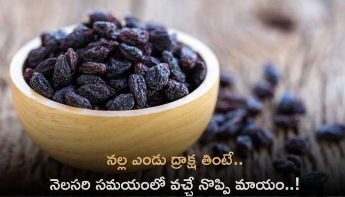 Black Raisins: నల్ల ఎండు ద్రాక్ష తింటే..నెలసరి సమయంలో వచ్చే నొప్పి మాయం..!