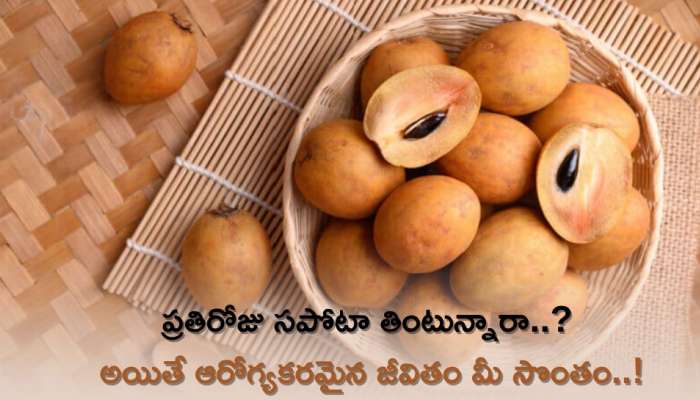 Sapota Fruit: ప్రతిరోజు సపోటా తింటున్నారా..? అయితే ఆరోగ్యకరమైన జీవితం మీ సొంతం..!