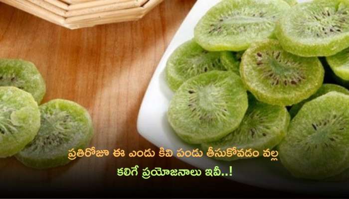 Dry Kiwi: ప్రతిరోజూ ఈ ఎండు కివి పండు తీసుకోవడం వల్ల కలిగే ప్రయోజనాలు ఇవీ..!