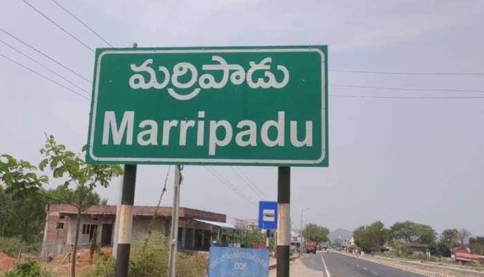 Nellore News: నెల్లూరు జిల్లాలో దారుణం.. అడ్డొచ్చిన వారిపై ట్రాక్టర్‌తో దాడి.. సర్పంచ్ భర్త మృతి