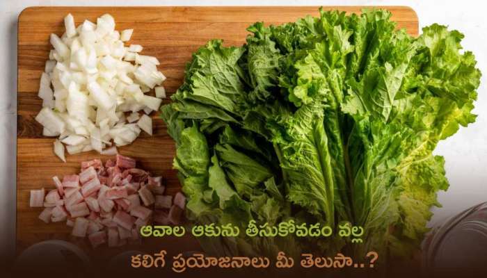 Mustard Leaves: ఆవాల ఆకును తీసుకోవడం వల్ల కలిగే ప్రయోజనాలు మీ తెలుసా..?