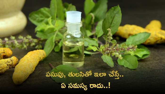 Immunity Boosters: ప‌సుపు, తుల‌సితో ఇలా చేస్తే.. ఏ సమస్య రాదు..!