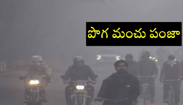 Dense fog effect: ఉత్తర భారతాన్ని వణికిస్తున్న పొగ మంచు..  న్యూ ఇయర్ వరకు ఇదే విధంగా..