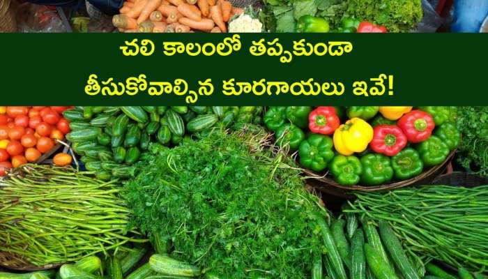 Winter Vegetables: చలి కాలంలో తప్పకుండా తీసుకోవాల్సిన కూరగాయలు ఇవే!