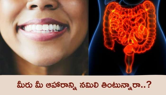 Mouth Function: ఆహారాన్ని ఎక్కువ నమిలి తినడం వల్ల శరీరానికి కలిగే లాభాలు ఏంటో మీకు తెలుసా ?