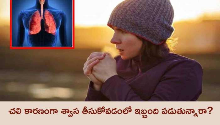 Winter Fog: చలి కారణంగా శ్వాస తీసుకోవడంలో ఇబ్బంది పడుతున్నారా? ఈ టిప్స్‌ మీ కోసమే!