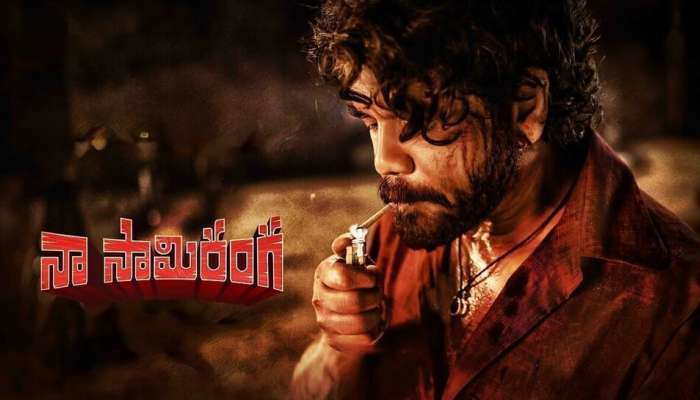 Akkineni Nagarjuna: 70 రోజుల్లోనే 'నా సామి రంగా' షూటింగ్ కంప్లీట్.. నాగార్జున నమ్మకమేమిటి!!